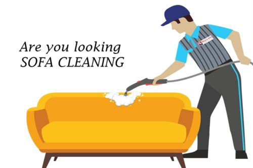 sofa cleaning